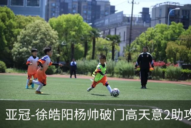 亚冠-徐皓阳杨帅破门高天意2助攻 申花2-1淡滨尼流浪者